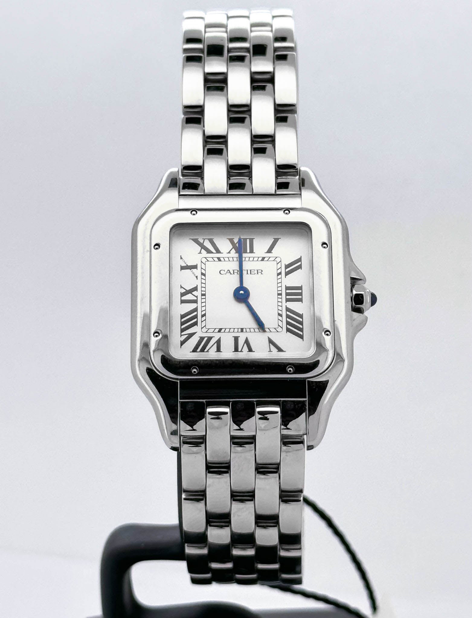 PANTHÈRE STEEL M SILVER DIAL (2025)