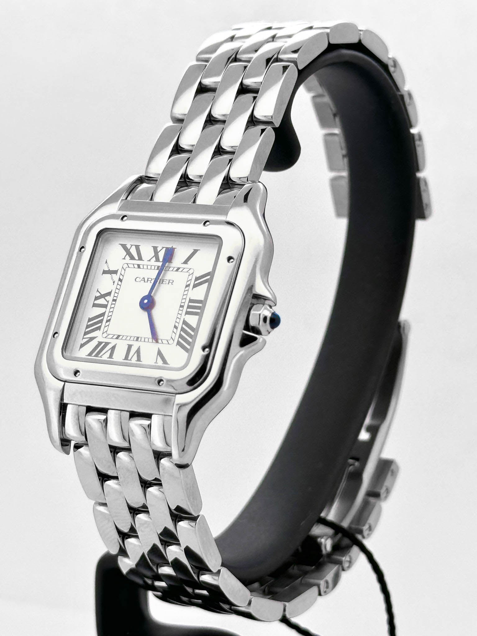 PANTHÈRE STEEL M SILVER DIAL (2025)